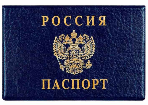 Обложка д/паспорта ДПС горизонт. синяя 2203.Г-101